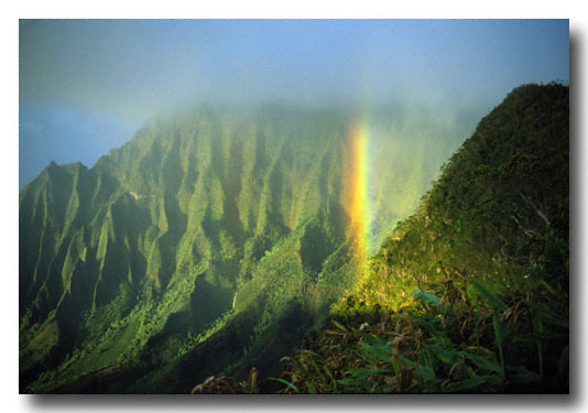 Looking down on the Napali Coast from the top of the island of Kaui, Hawaii - Scan from a slide
