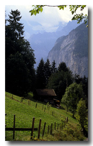 From the foot-trail from Wengen to the village of Lauterbrunen - Switzerland.  Scan from a slide