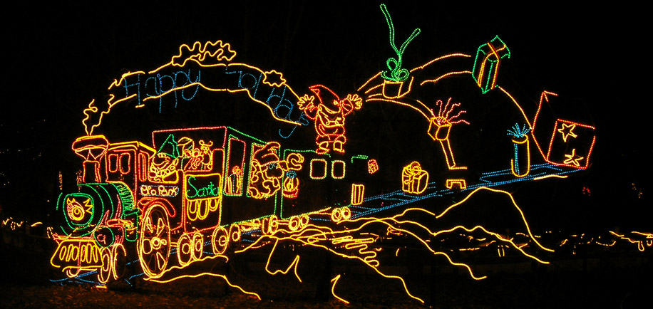 Image from river of lights display, Albuquerque, NM 12/09