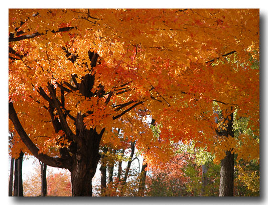 Digital Image, October 2003