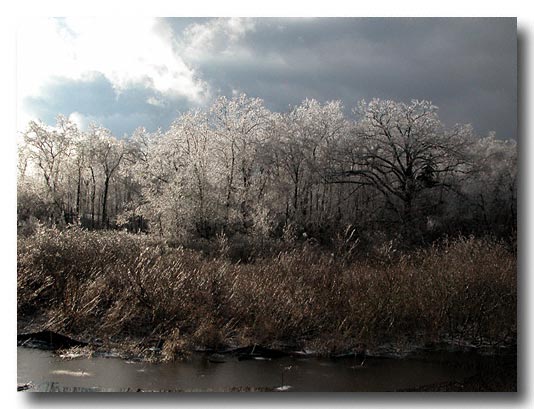 Digital Image Nikon CP 5700