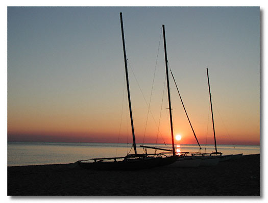 Digital Image - Summer 2001