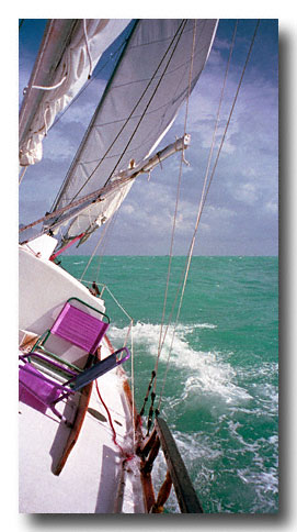 Scan from a negative - Kodak Advantix 