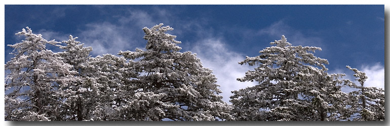 Late May Snow on the summit of the Sandias, May 24, 2008