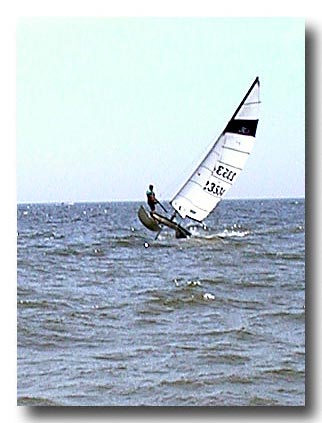 Digital Image - Summer 2001